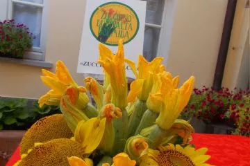 Lo Zucchino