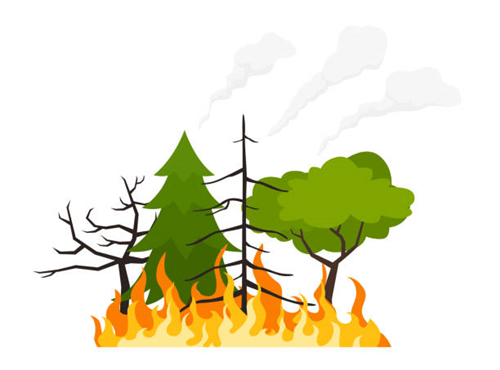 Campagna antincendio boschivo 2023